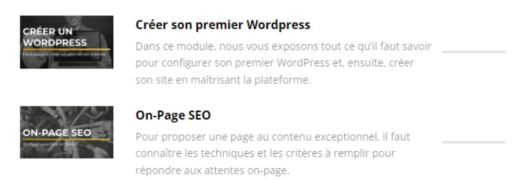 The Business Legion Romain Pirotte On-Page Module: to rank your site
