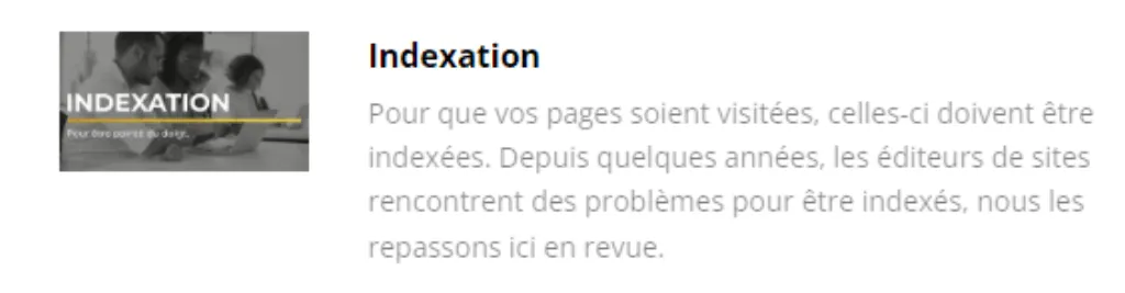 google indexing The Business Legion Romain Pirotte