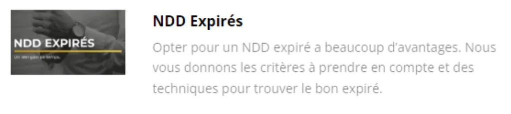 Buy expired domains The Business Legion Romain Pirotte