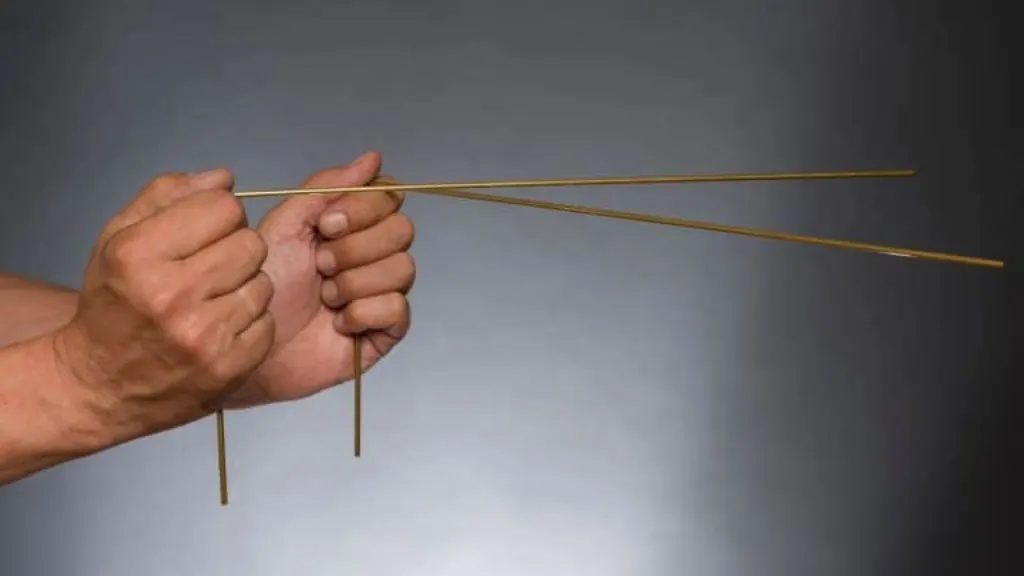 guide complet de la formation antenne de lecher (1)