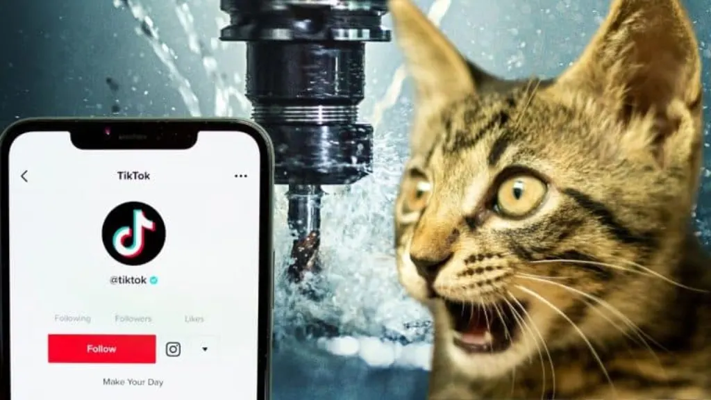 5 conseils pour percer sur tiktok rapidement