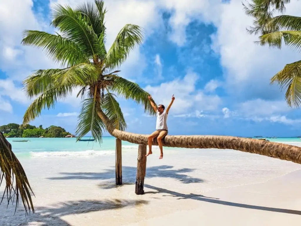 Young man sitting on palm tree on tropical sandy beach. Man on summer vacation at exotic destination